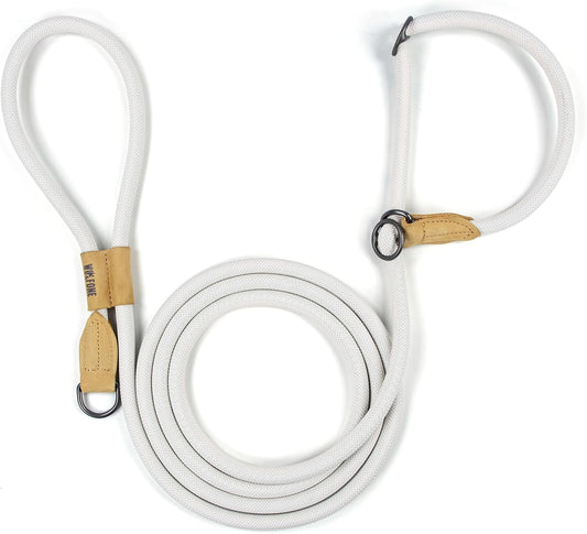 Slip Lead Dog Leash