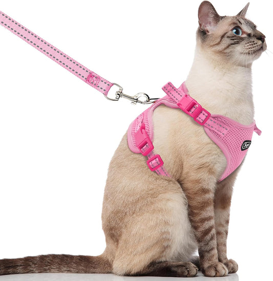Cat Harness and Leash for Walking