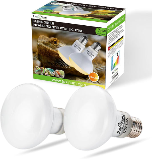 Reptile Heat Lamp 75W