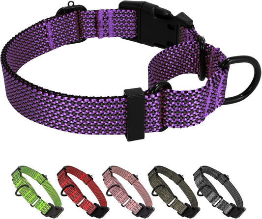 Adjustable Training Martingale Collar