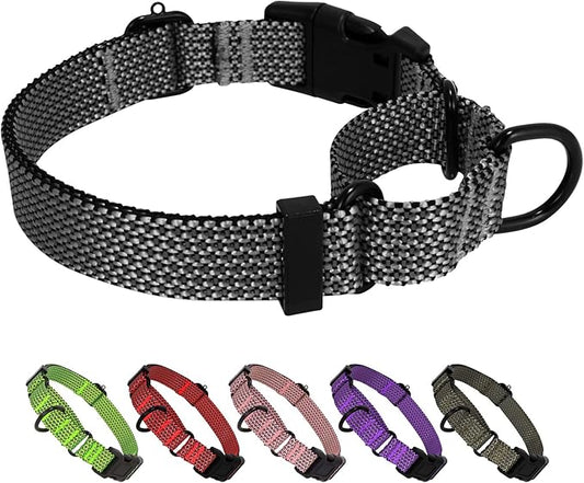 Dog Collars Adjustable Training Martingale Collar