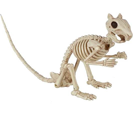 Halloween Skeleton Decoration