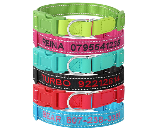 Custom Nylon Reflective Dog Collar