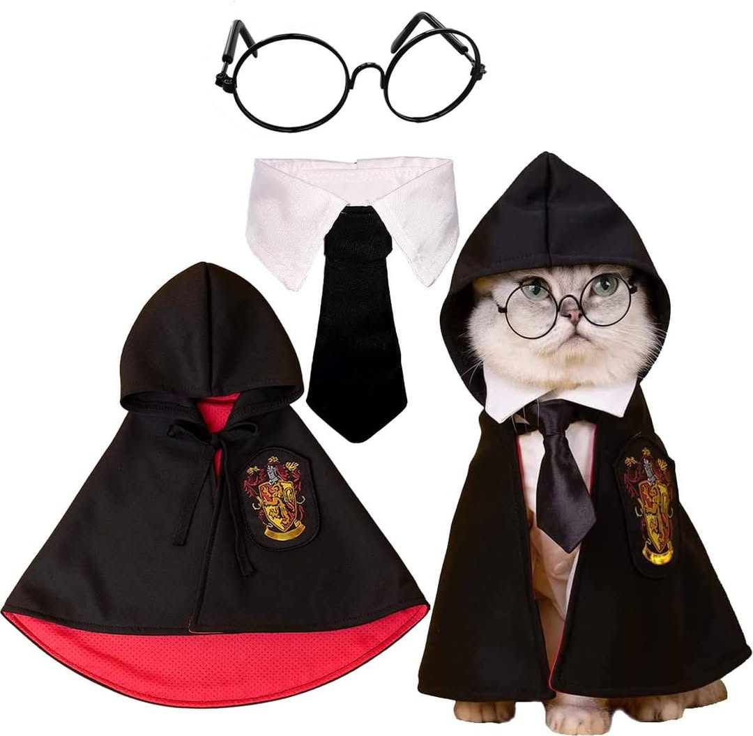 Pets' Costumes with Glasses and Neckties