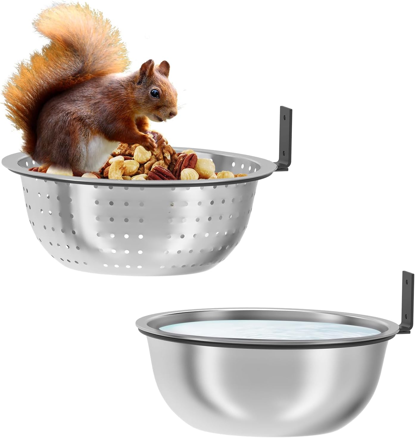 2 Pack 8.7" Squirrel and Bird Feeder