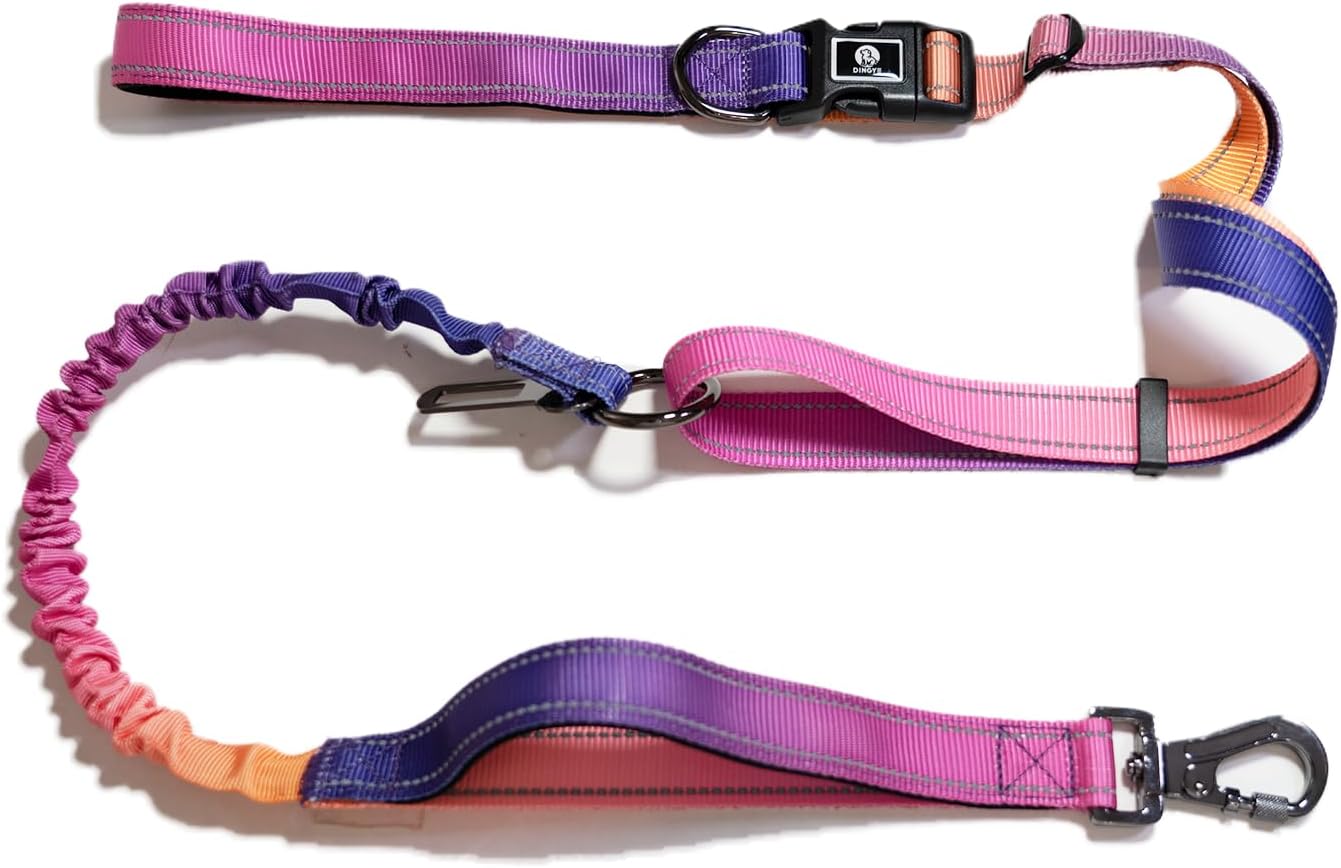 Hands-Free Dog Leash with Bungee