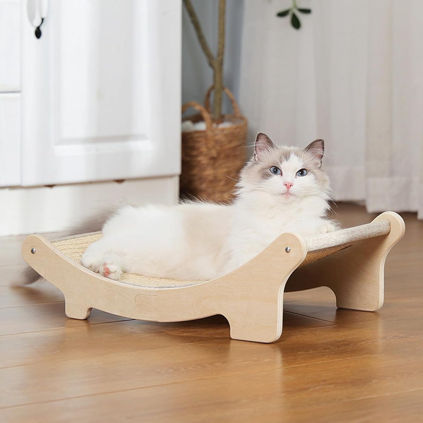 Cat Scratching Bed