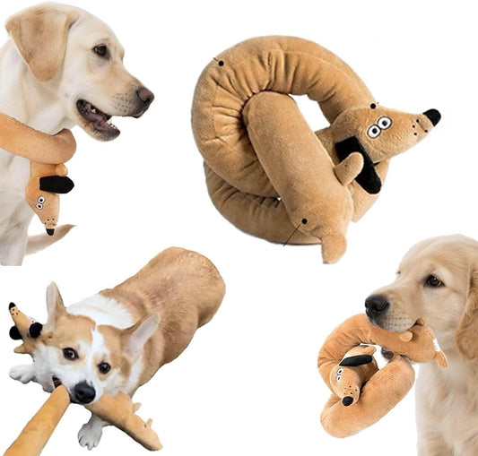 Squeaky Dog Toys