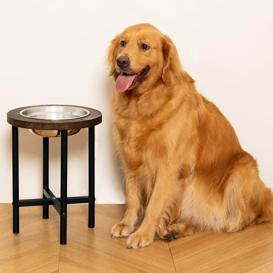 Extra High Elevated Dog Feeder