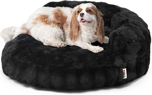 Small Dog Bed