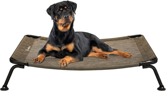 Outdoor Elevated Dog Bed