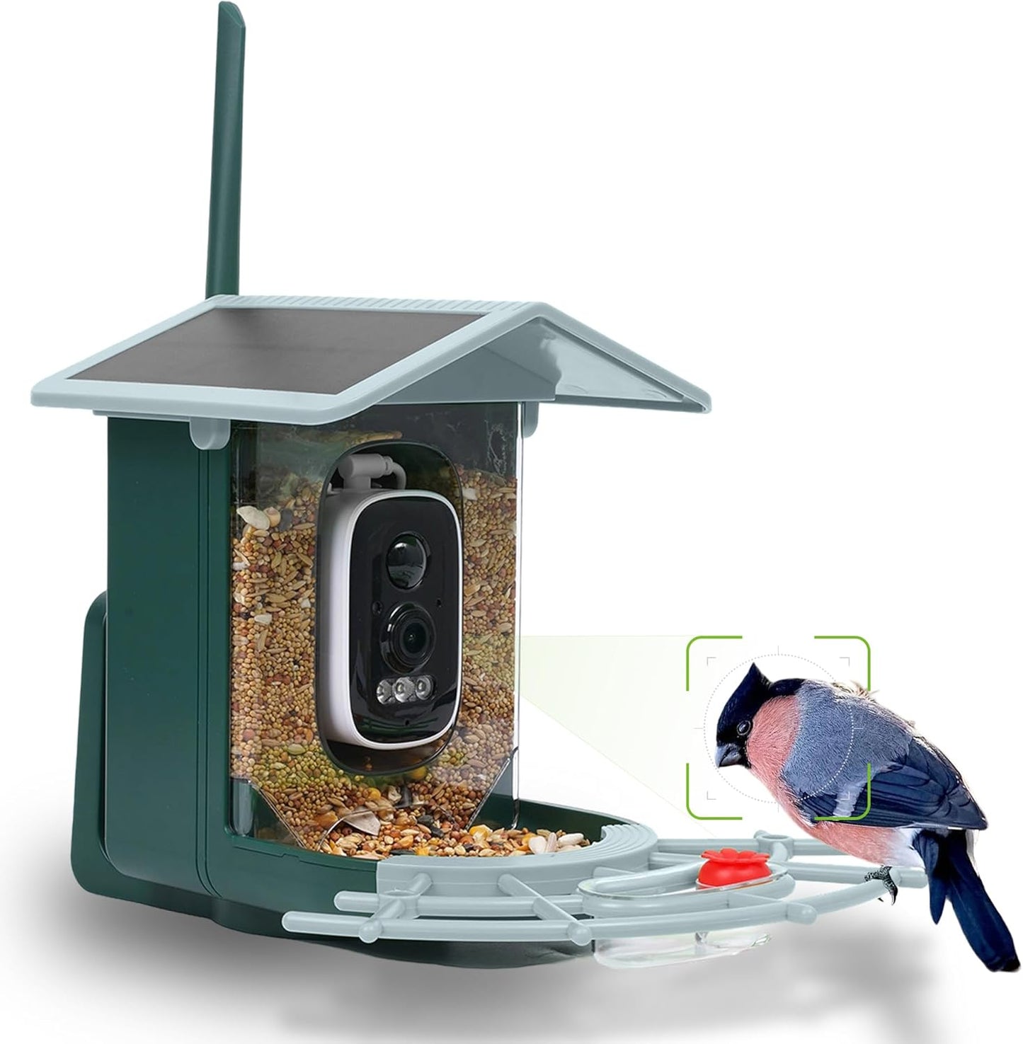 Smart Bird Feeder with Camera