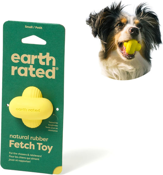 Interactive Fetch Toy