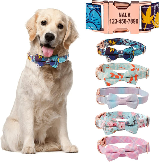 Personalized Dog Collars with Bowtie