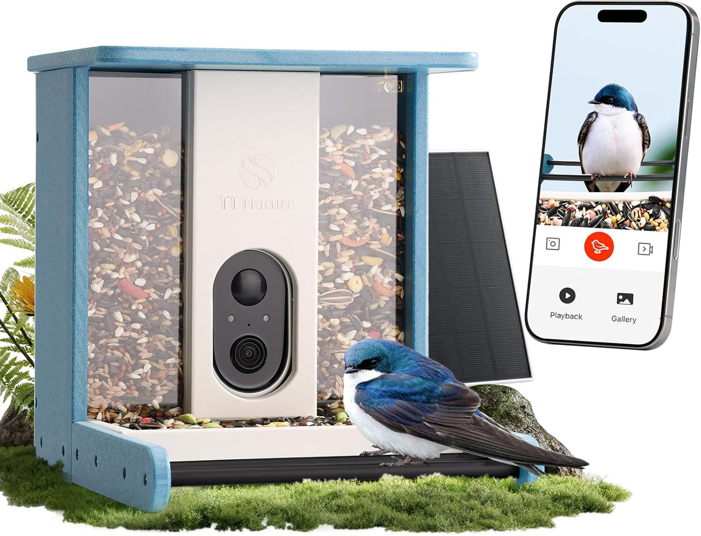 Smart Bird Feeder with Camera