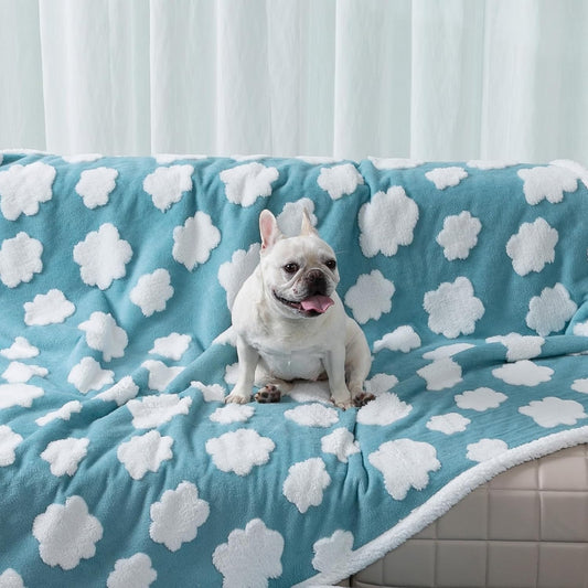 Waterproof Pet Blanket
