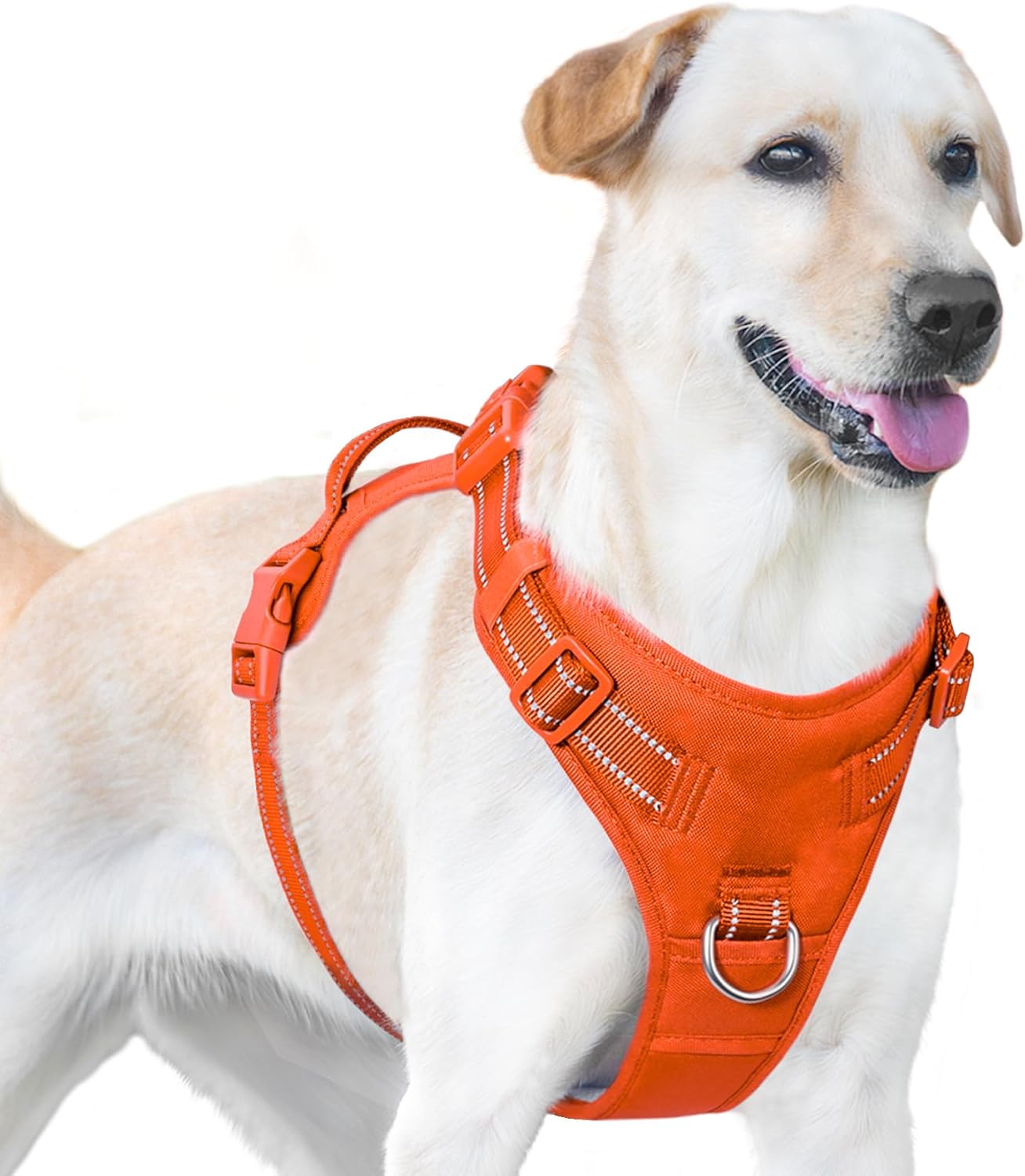 No Pull Dog Harness