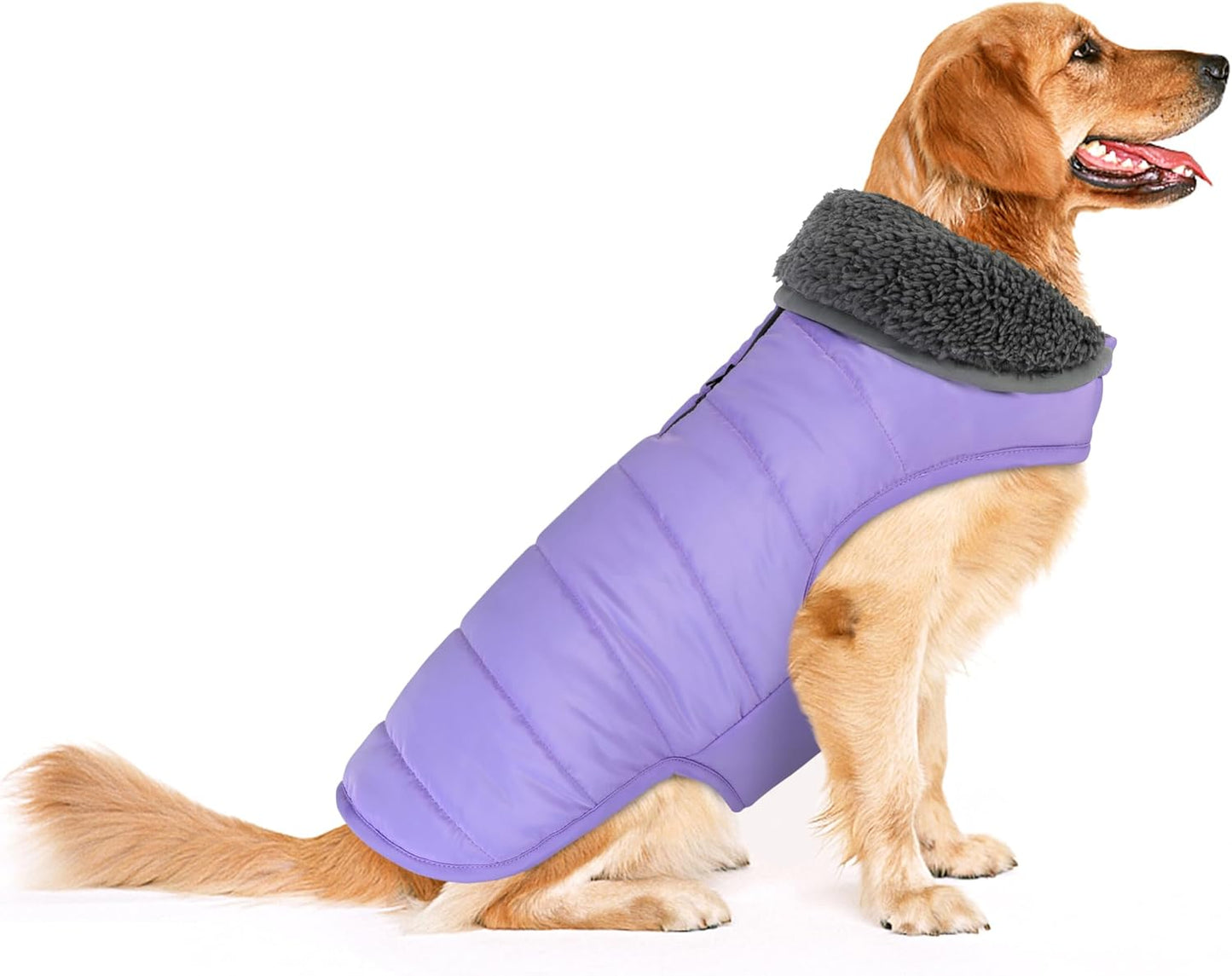 Dog Winter Coat