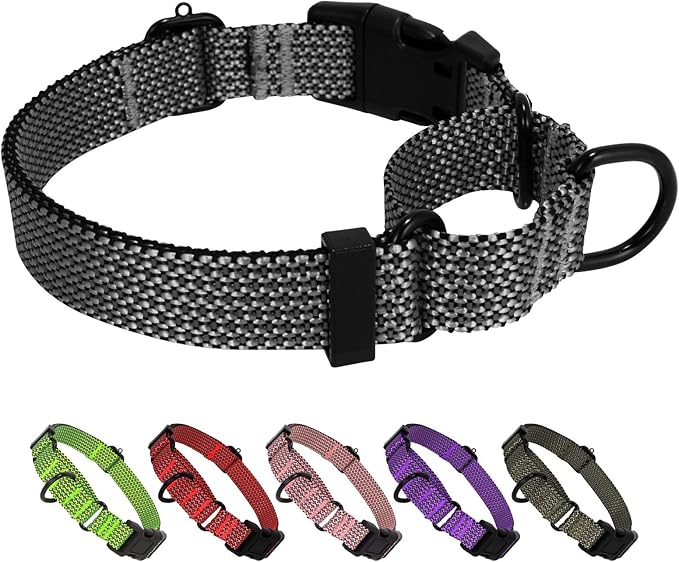 Dog Collars Adjustable Training Martingale Collar