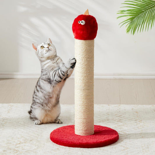 Cat Scratching Post