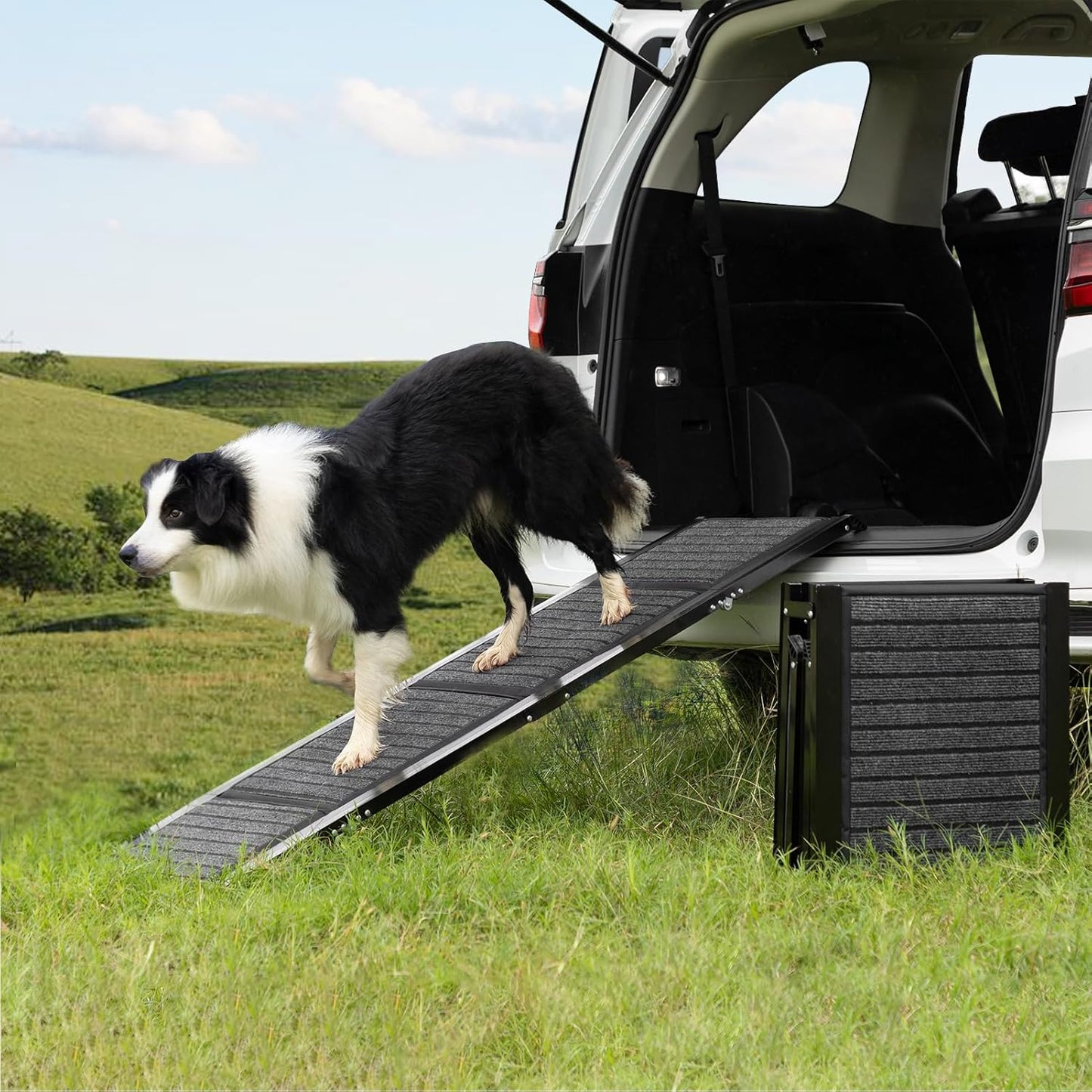 Dog Ramp for Car