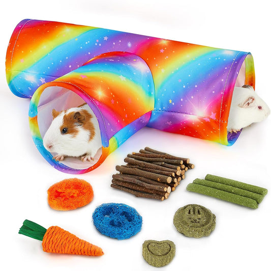 Guinea Pig Tunnel