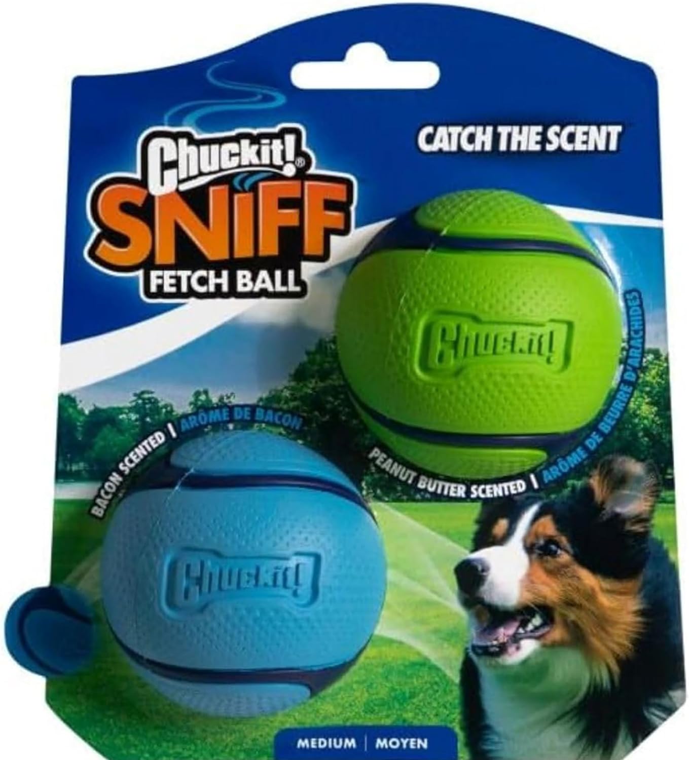 Sniff Ball Dog Toy