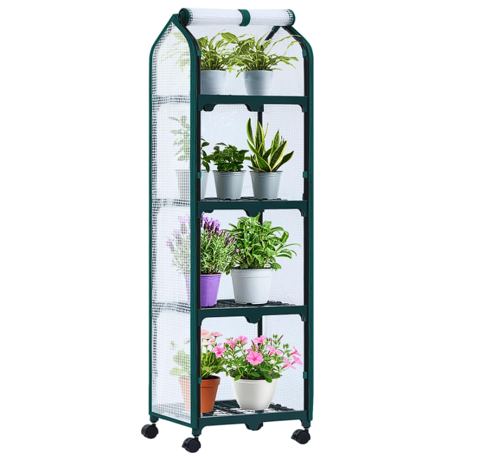 Mini Greenhouse