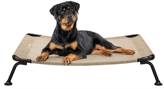 Elevated Dog Bed