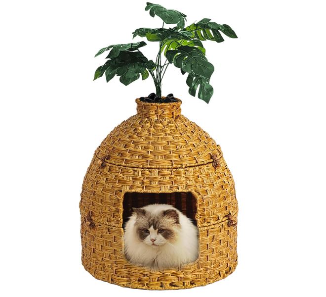 Cat Hidden Litter Box